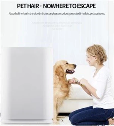 BKJ-300H Ordour Dust Remover מטהר אוויר Healthy Care