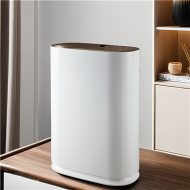 מטהר אוויר עומד BKJ-300 עם מסנן HEPA