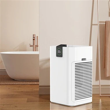 BKJ -80 בית סיטוני מפעל מטהר אוויר גדול